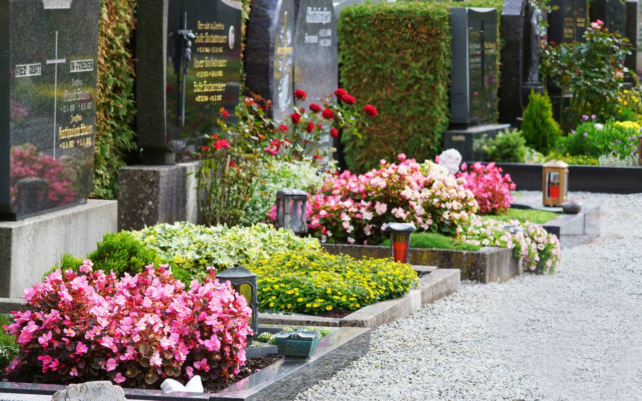 Friedhof