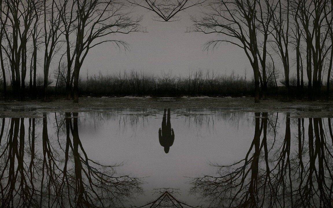 Draußen im Wald....