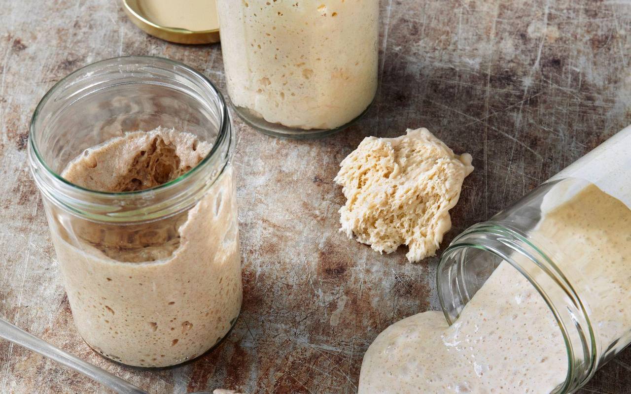 Sauerteig in Gläsern