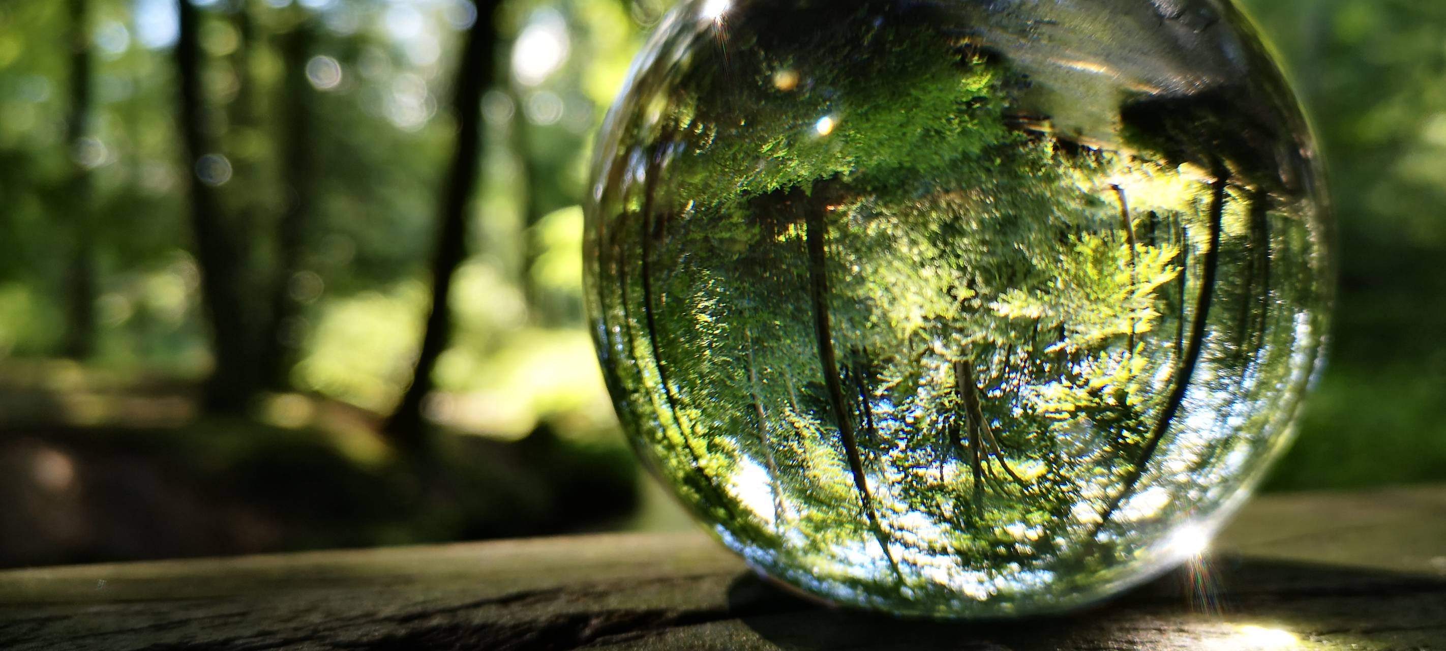 ÖKOPROFIT®: Krefelder Betriebe sparen Ressourcen