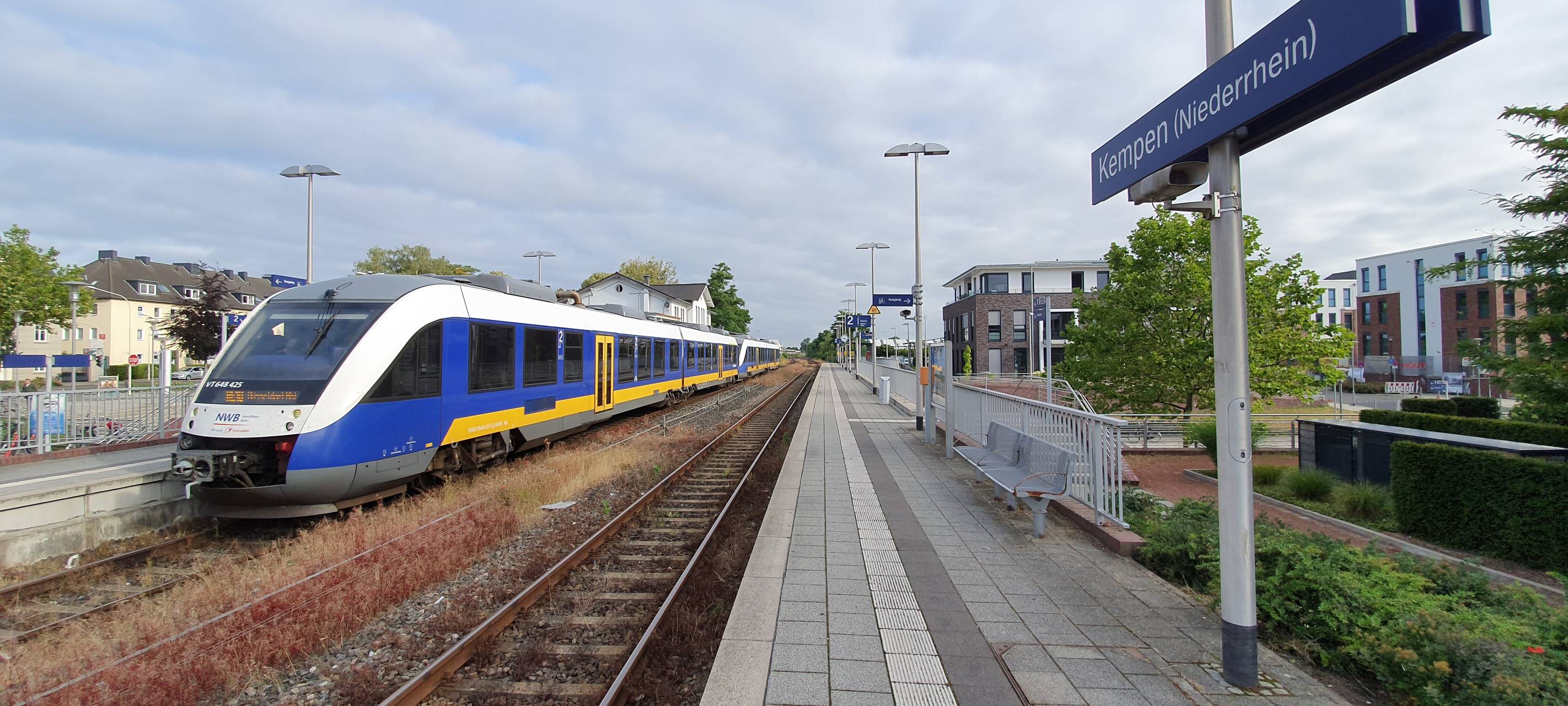 Zug prallt gegen Baum