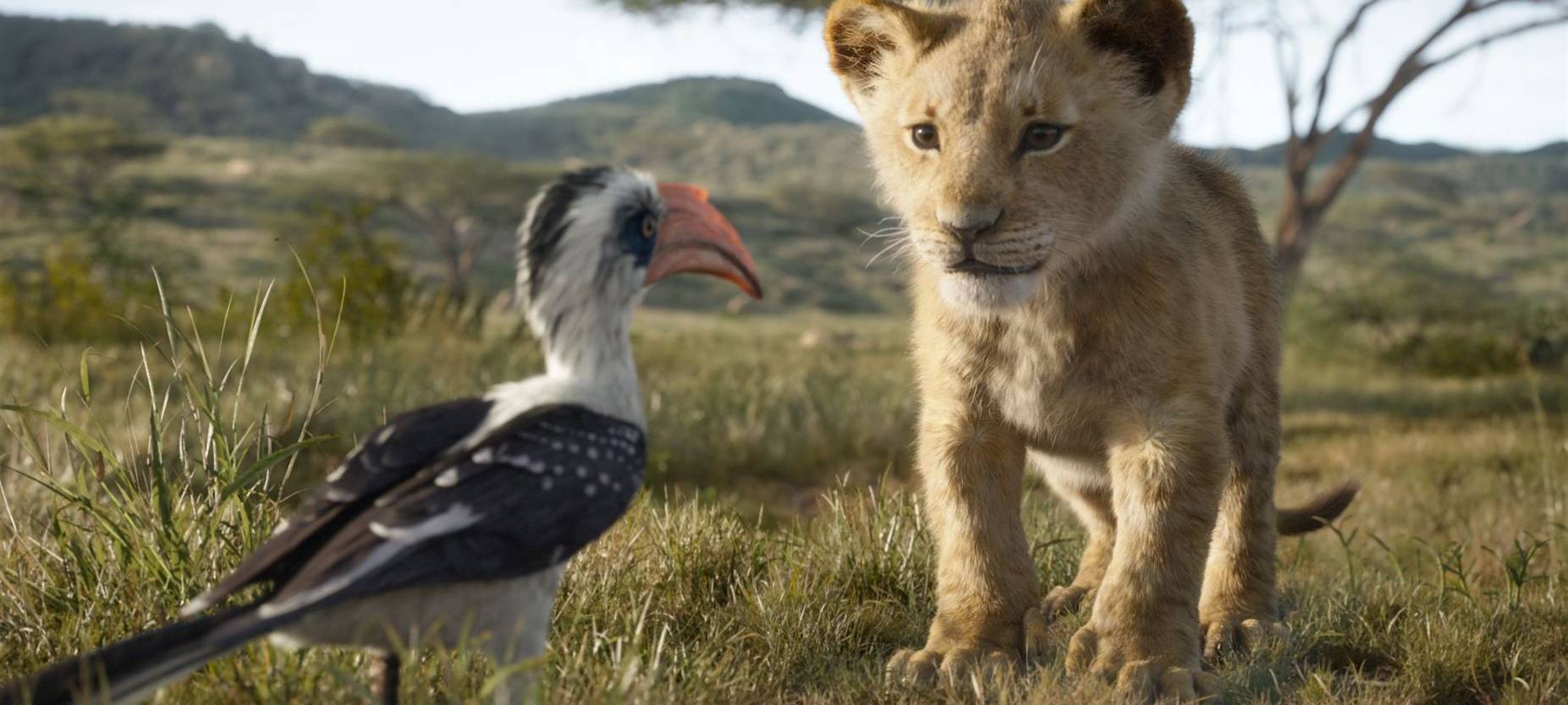 Simba trifft auf die Tiere des Königreichs.