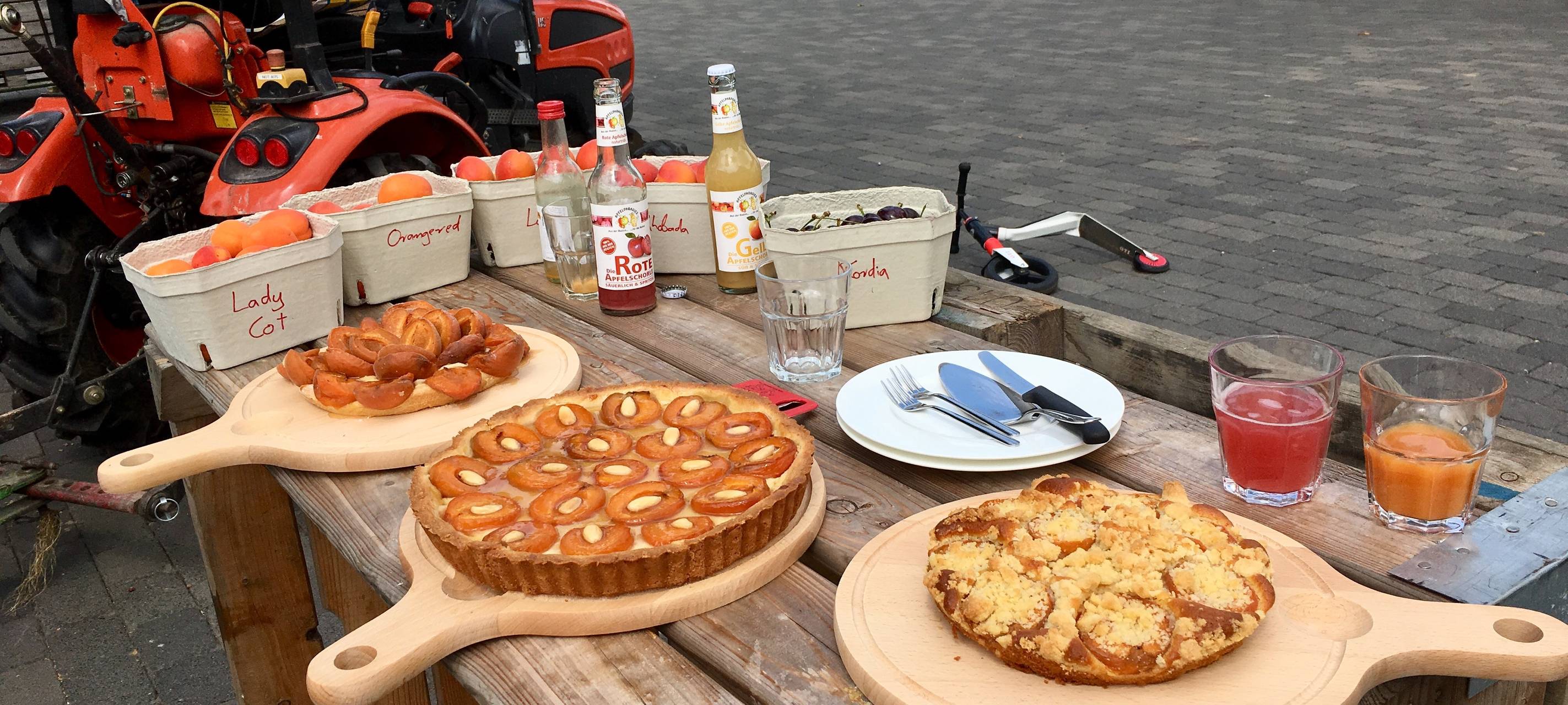 Aprikosenanbau in Tönisvorst