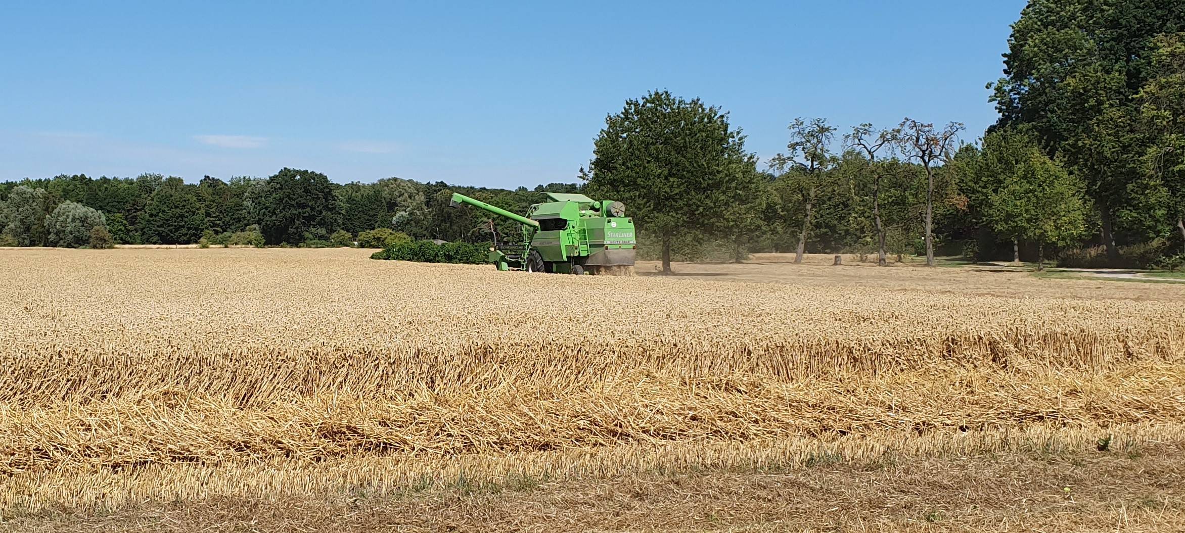 Weizenernte am Niederrhein gestartet