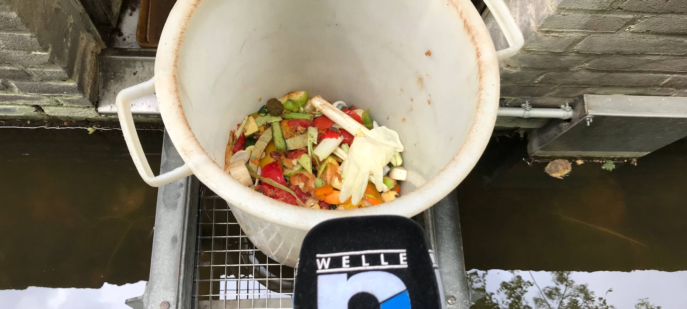 Unsere Sommerreporterin im Zoo