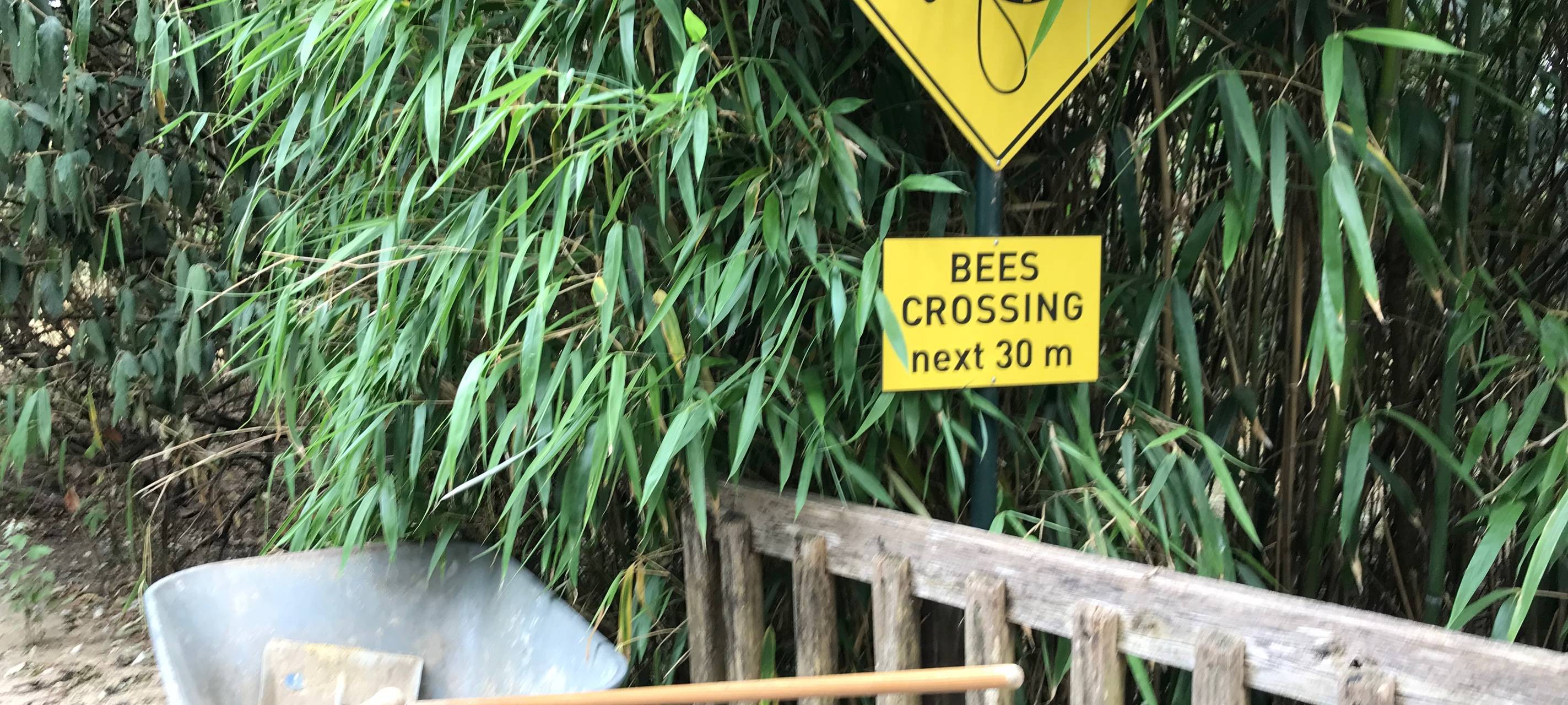 Unsere Sommerreporterin im Zoo