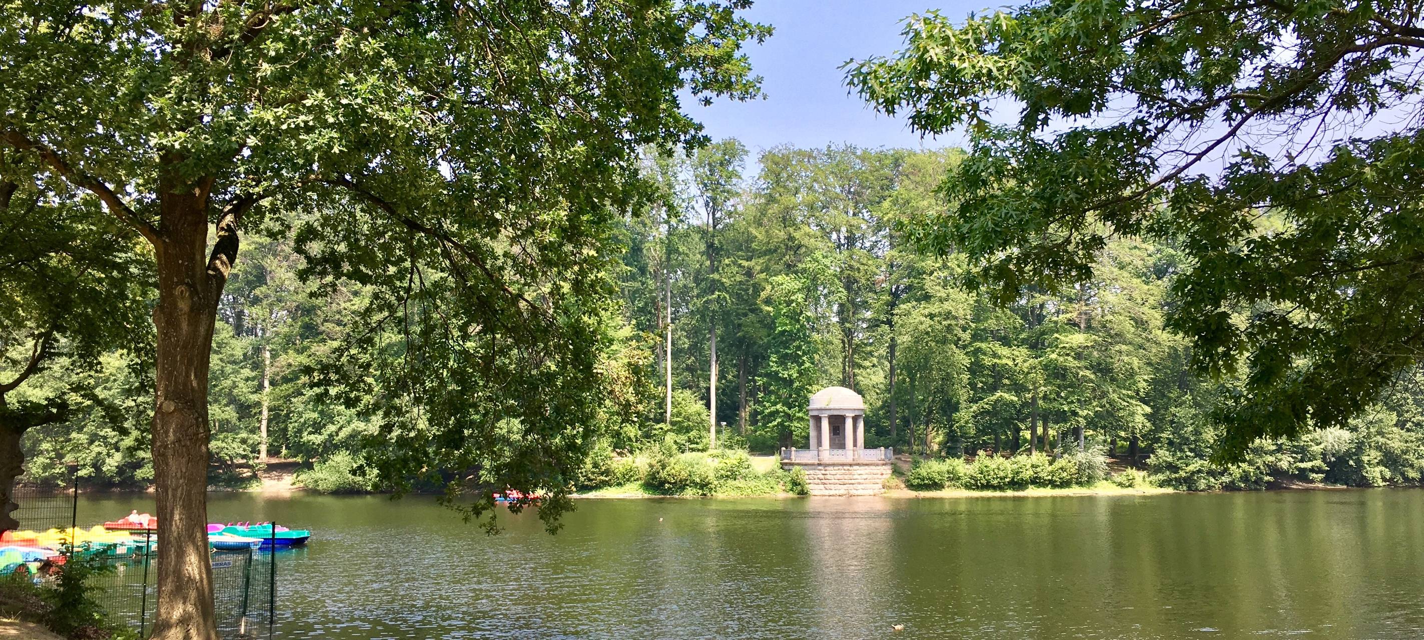 Fridays For Future plant Bewässerungsaktion im Stadtwald