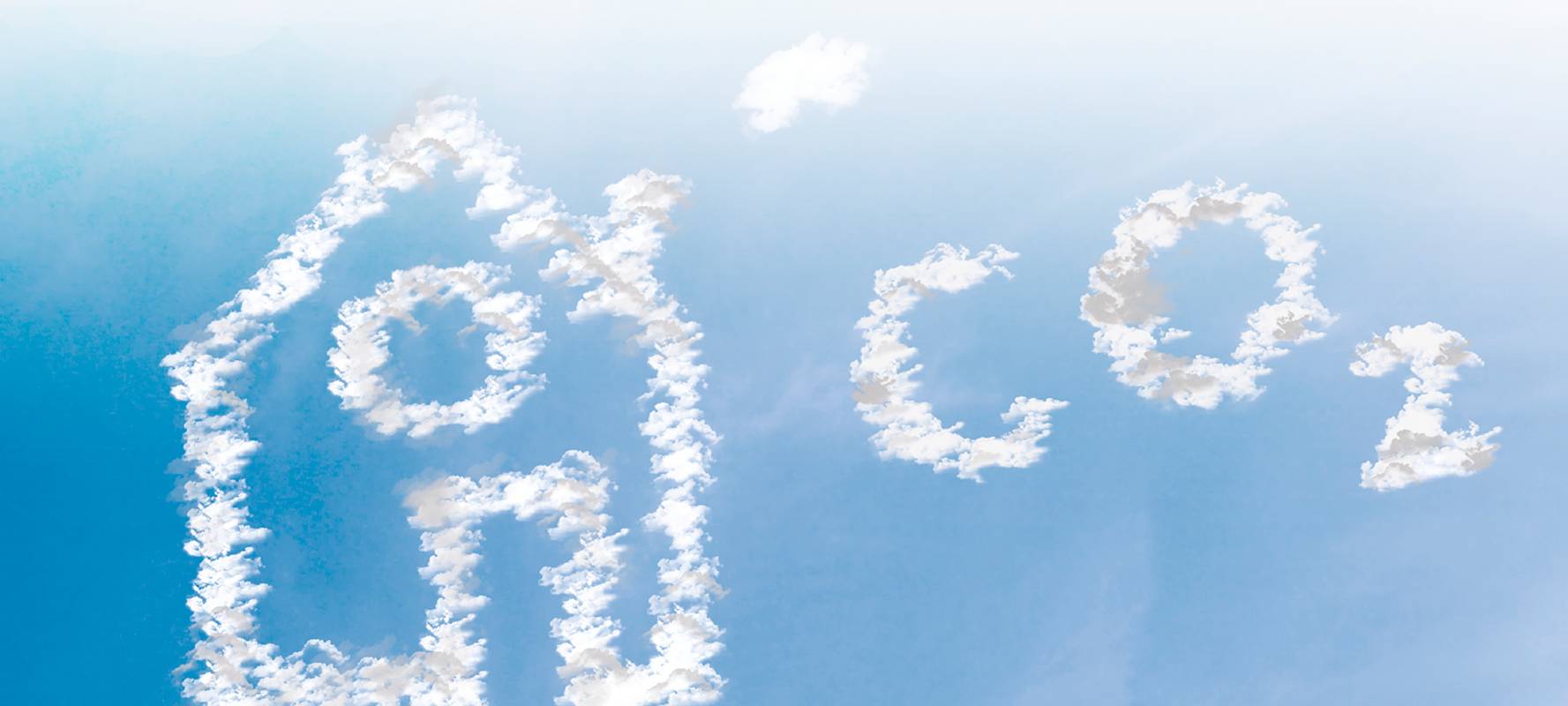 Klimapartner in Krefeld gesucht