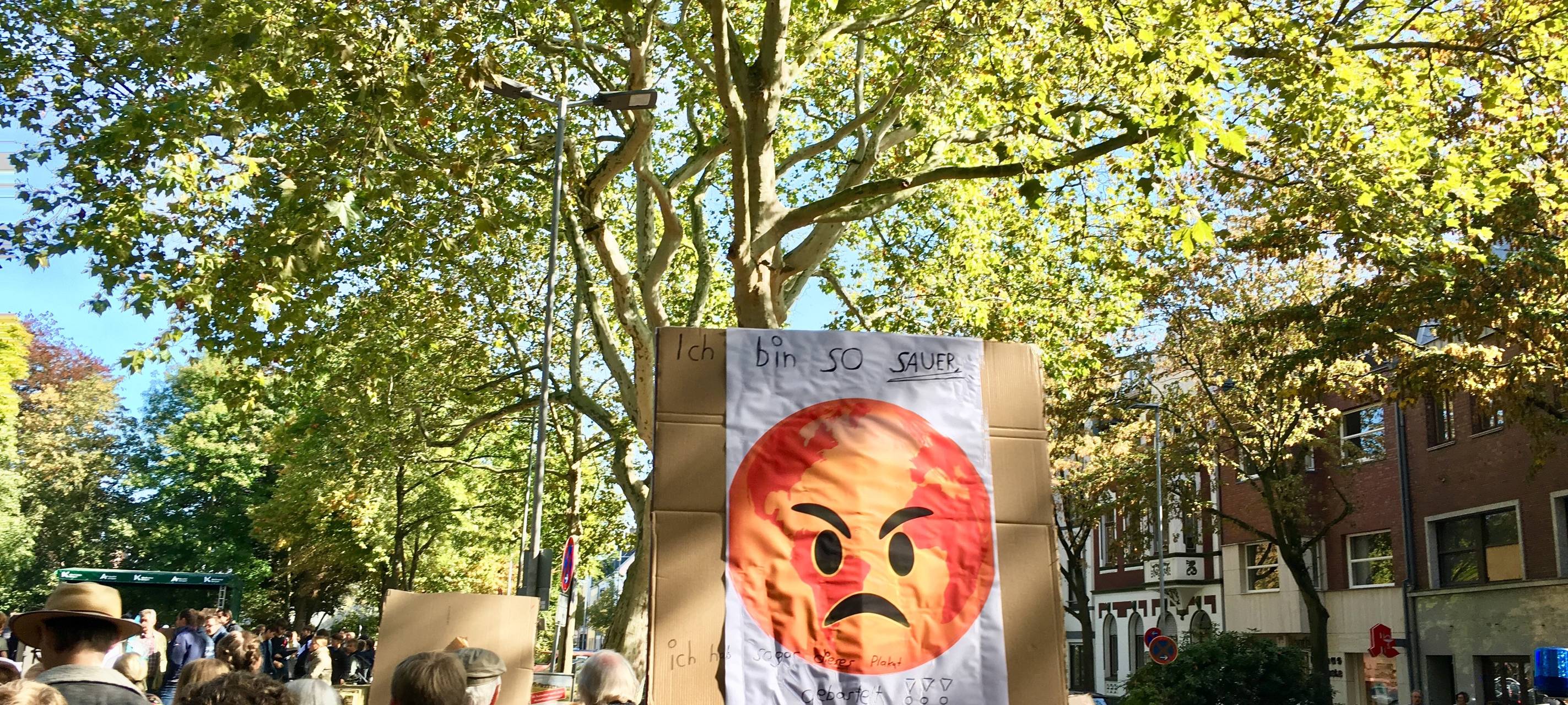 Klimademos am Niederrhein