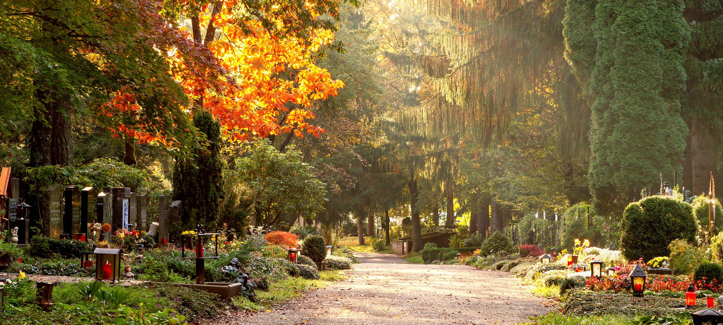 Friedhof