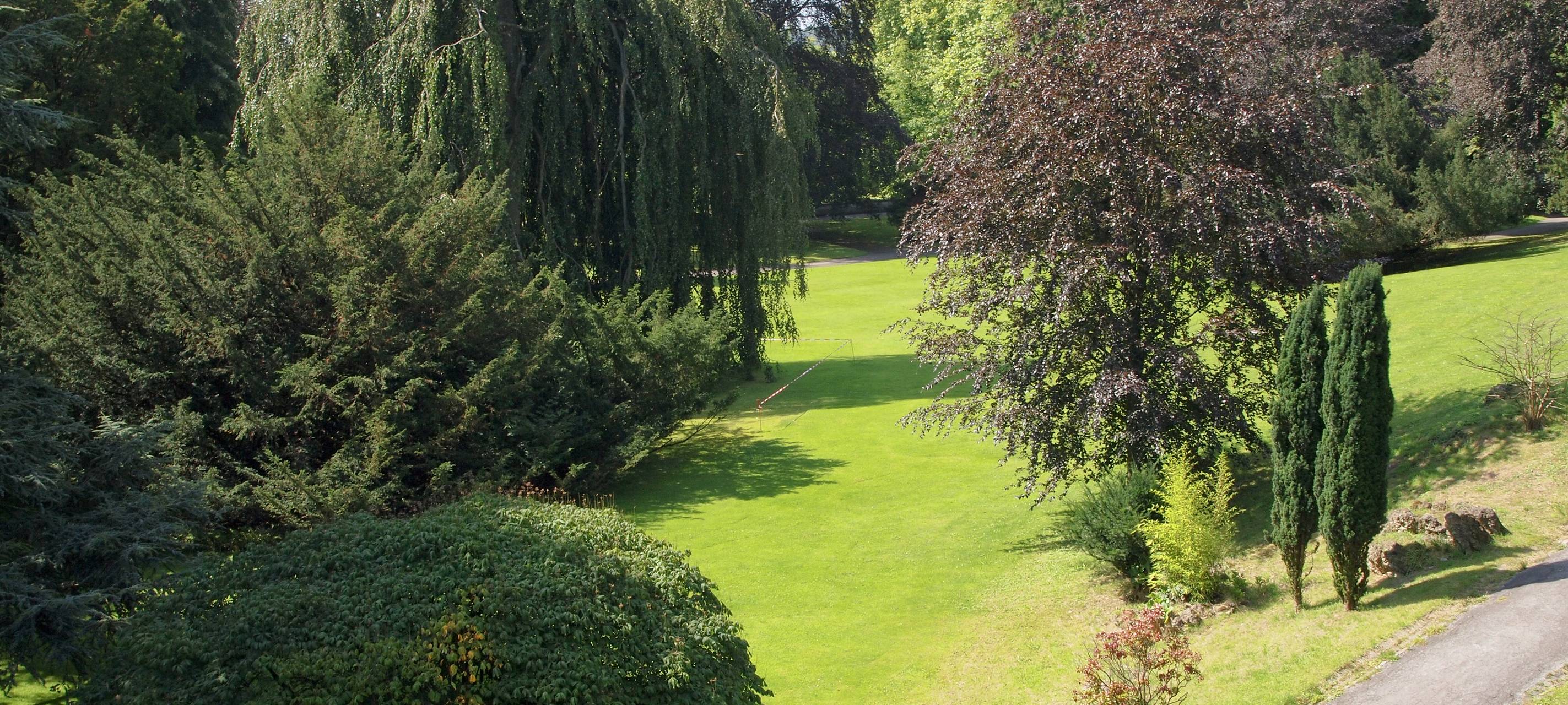 Krefelder sollten Bäume gießen