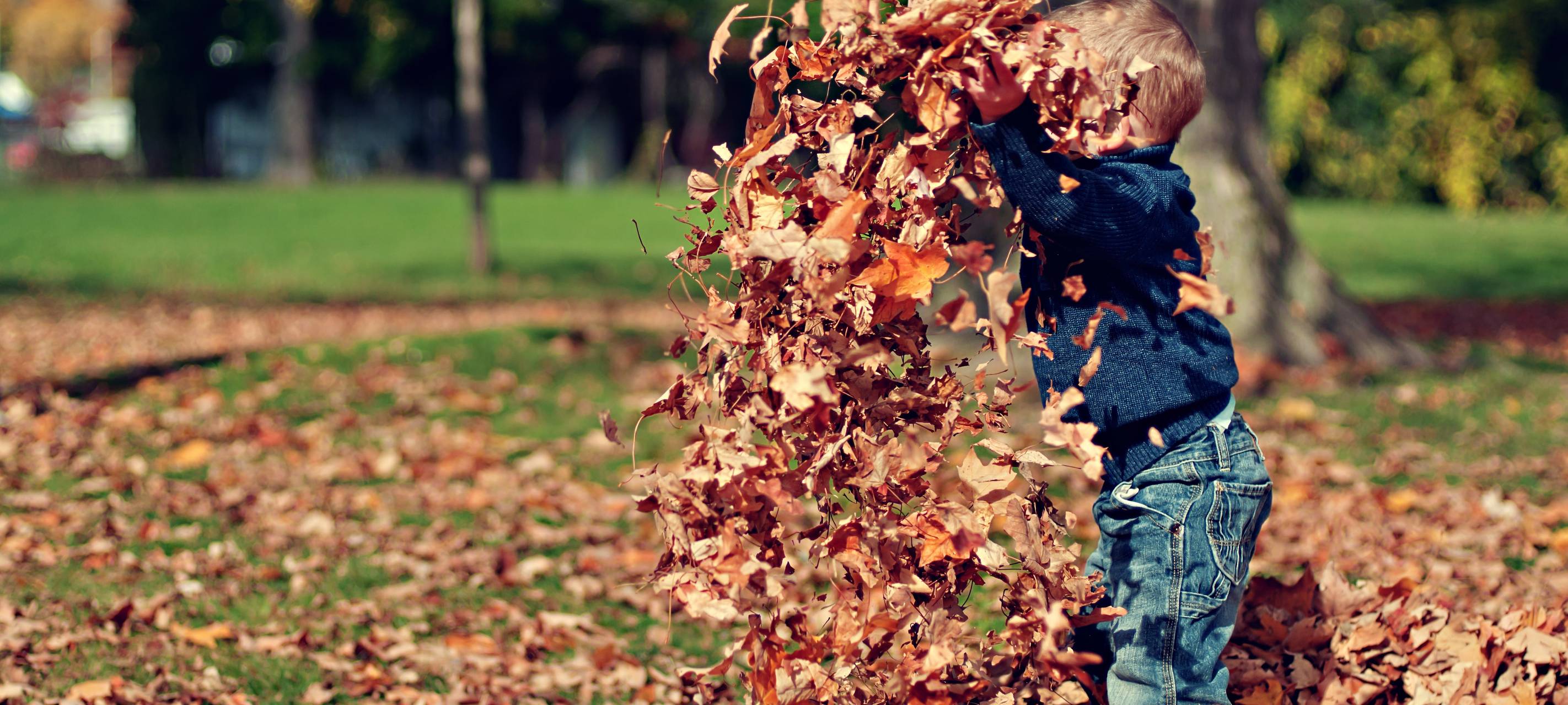 Was tun mit dem Herbstlaub?