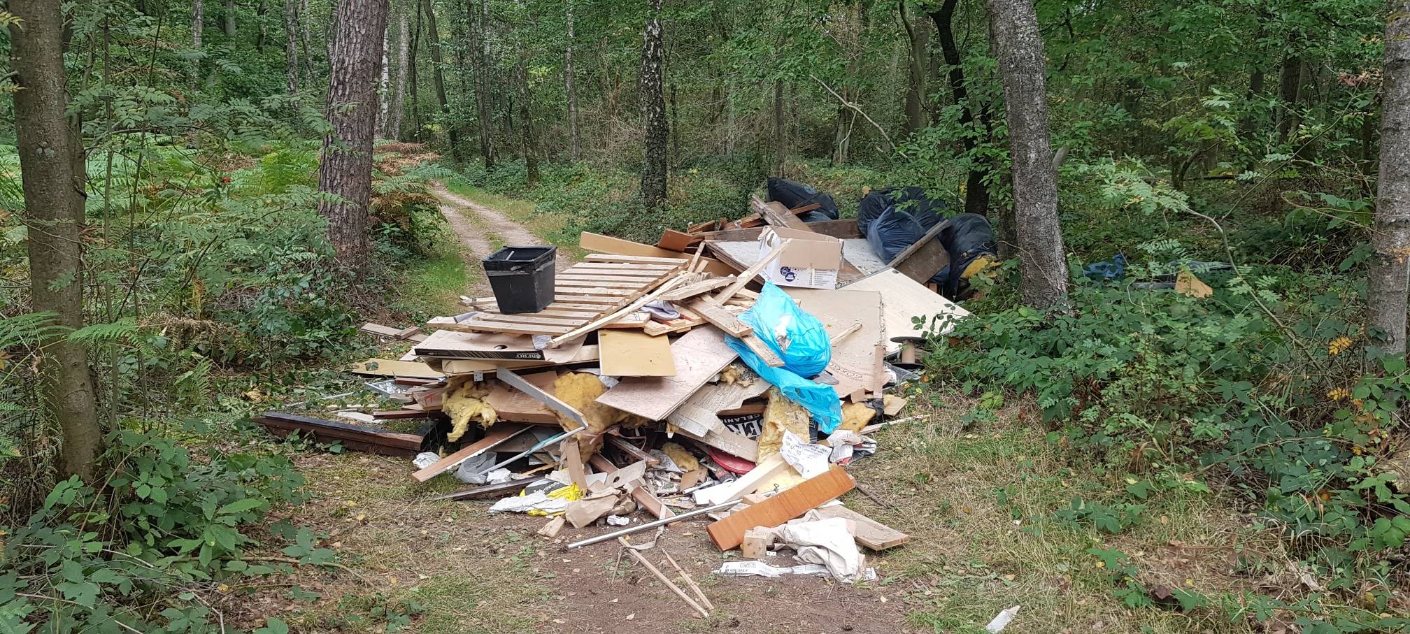 Frühlingswetter sorgt für viel wilden Müll