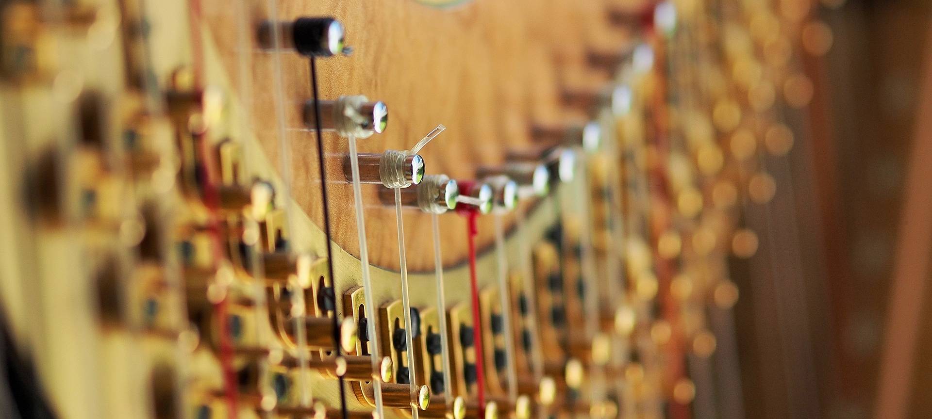 31. Oktober - 24. November - KulturTandem