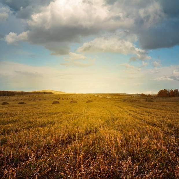 Streik der Landwirte - Welle Niederrhein Streik der Landwirte - Welle Niederrhein