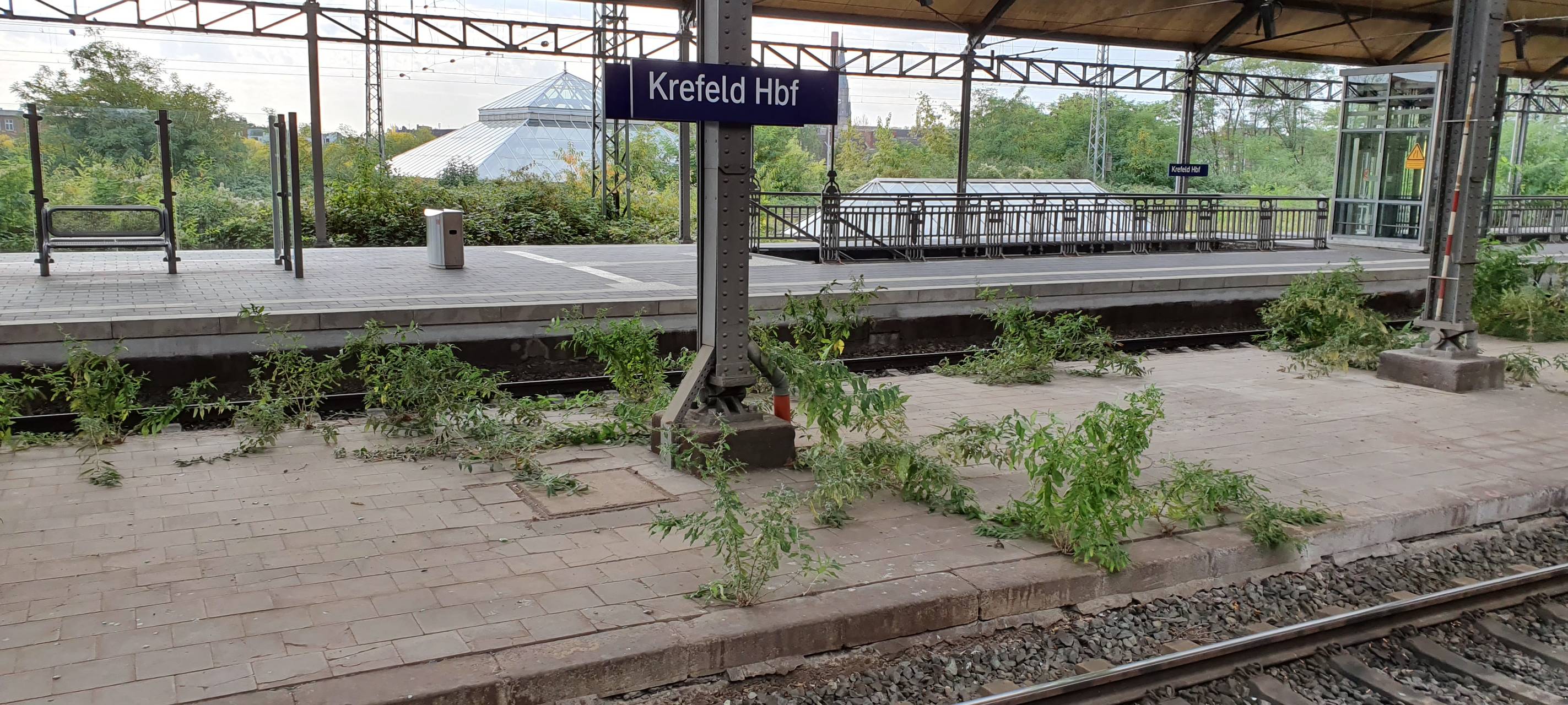 Abellio-Züge fallen vorübergehend aus