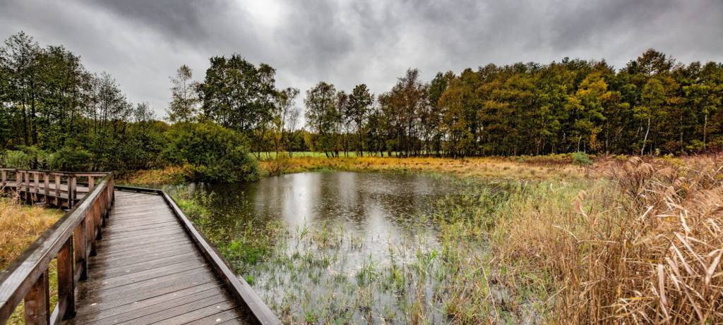 Urlaub am Niederrhein - Ihr seid gefragt!