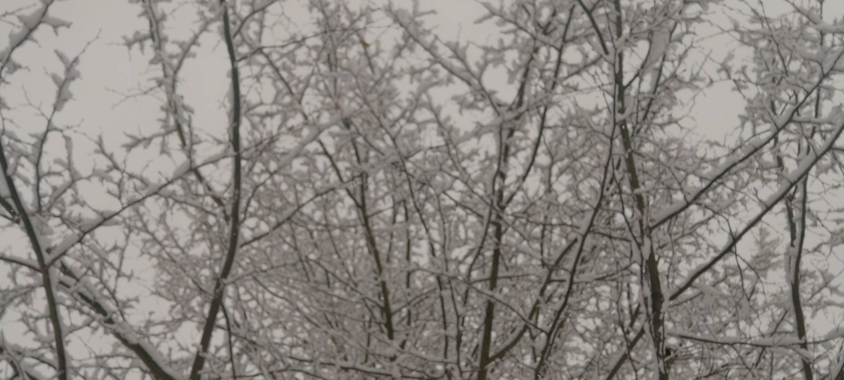 Happyologe: Tipps zum Glücklich-Sein