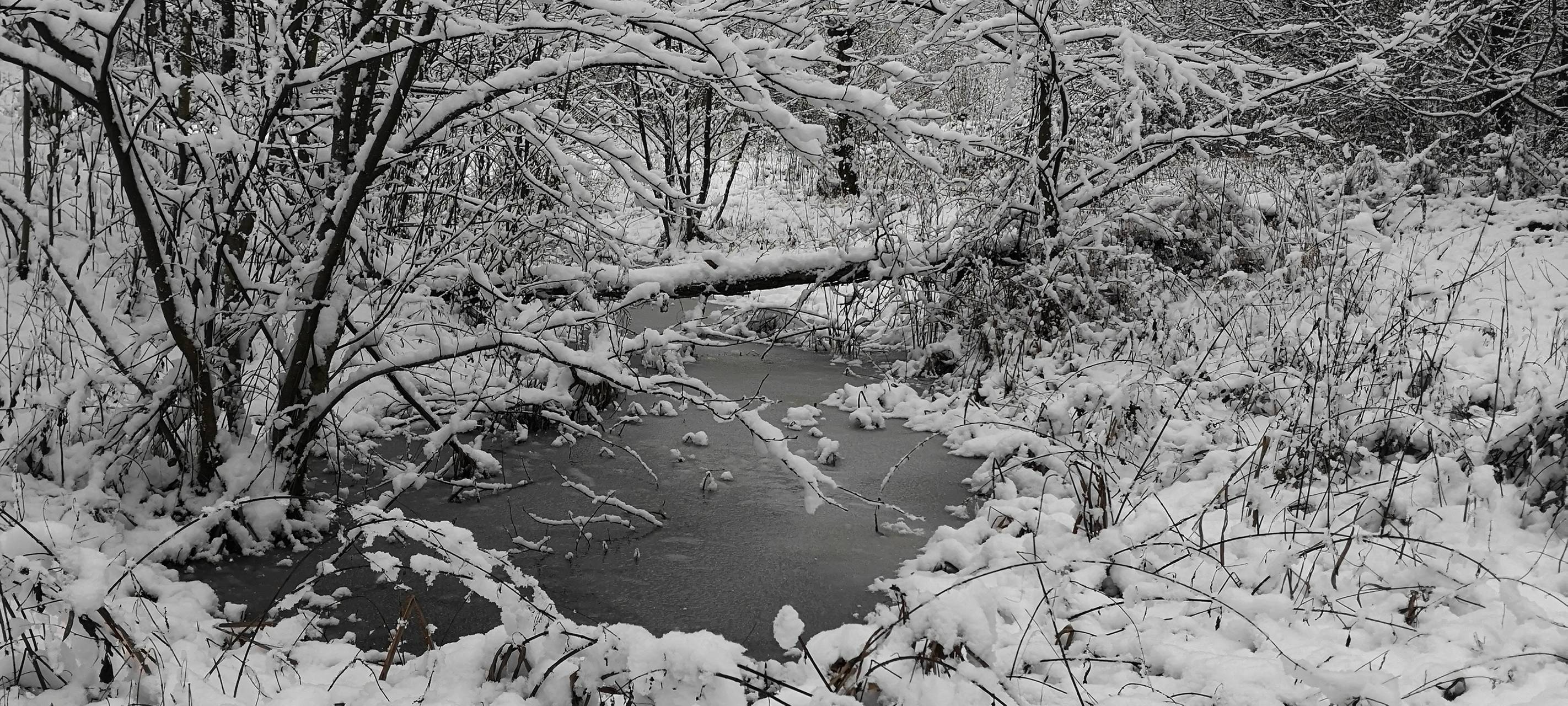 Winterdienste sind vorbereitet