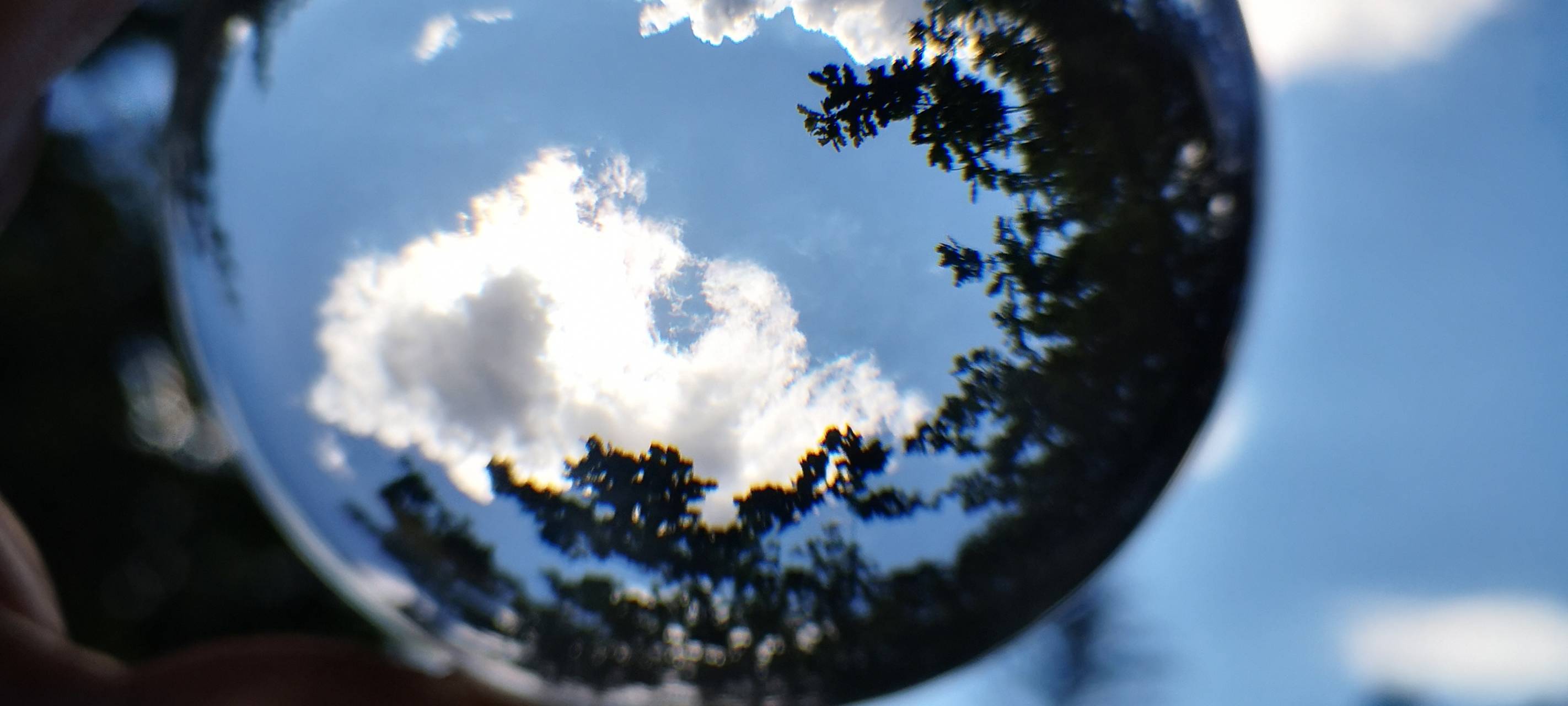 Klimaneutralität: Tönisvorst stellt Maßnahmen vor