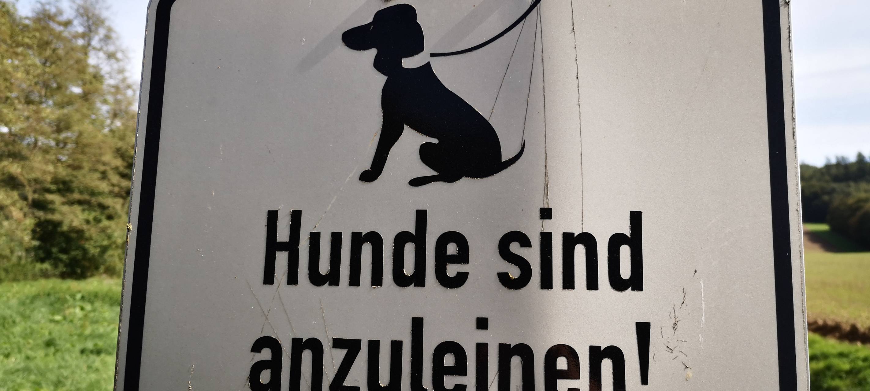 Hundesteuer beschäftigt Willicher Politik