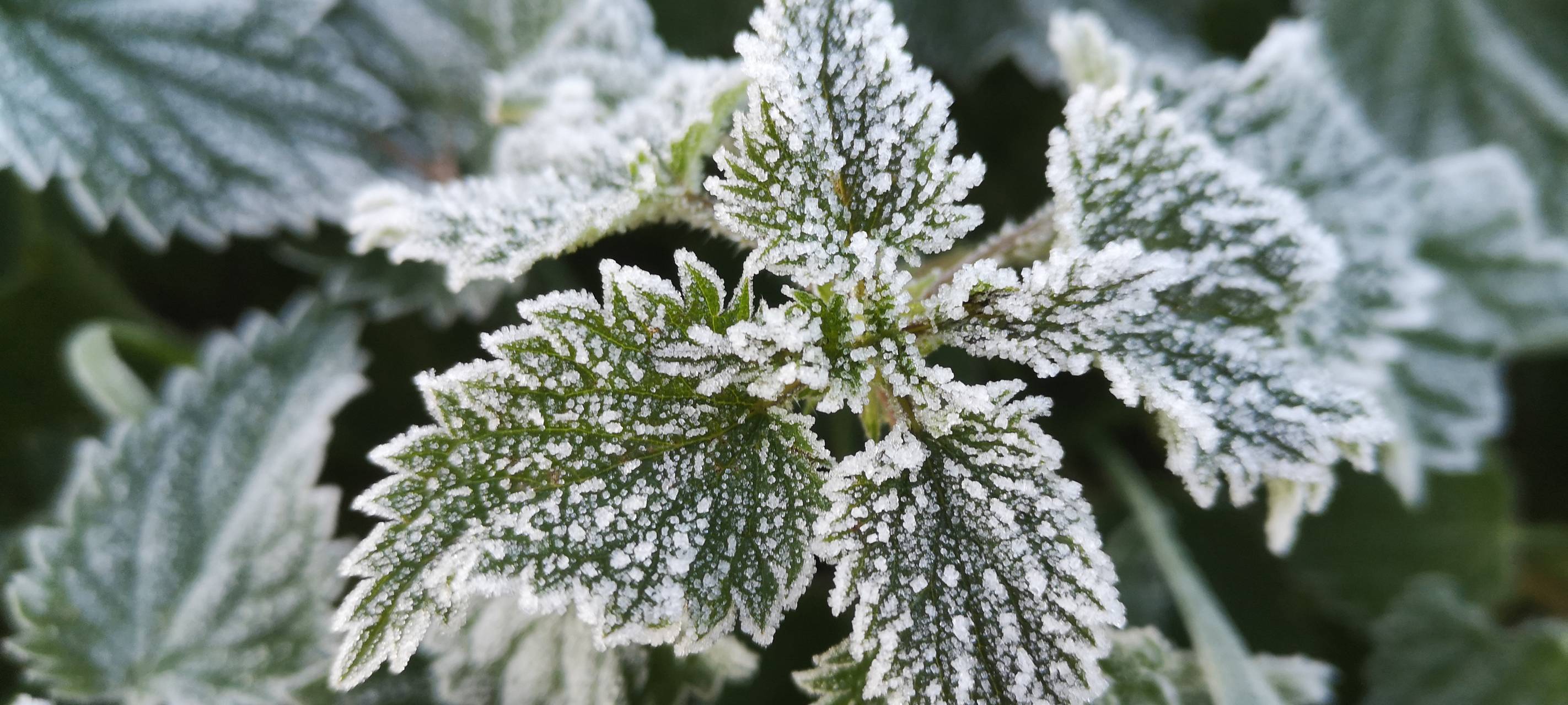 Frost sorgt für neue Straßenschäden am Niederrhein