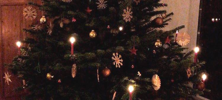 Wünsche erfüllen: Wunschbäume in Krefeld und Schwalmtal