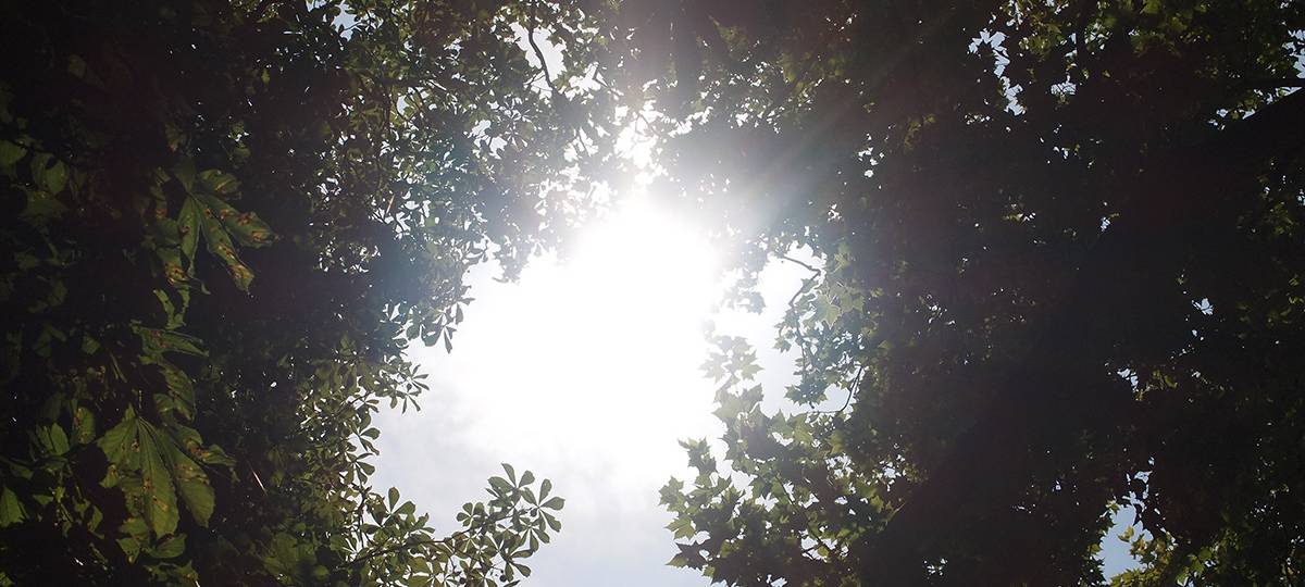 Wälder bleiben gefährlich