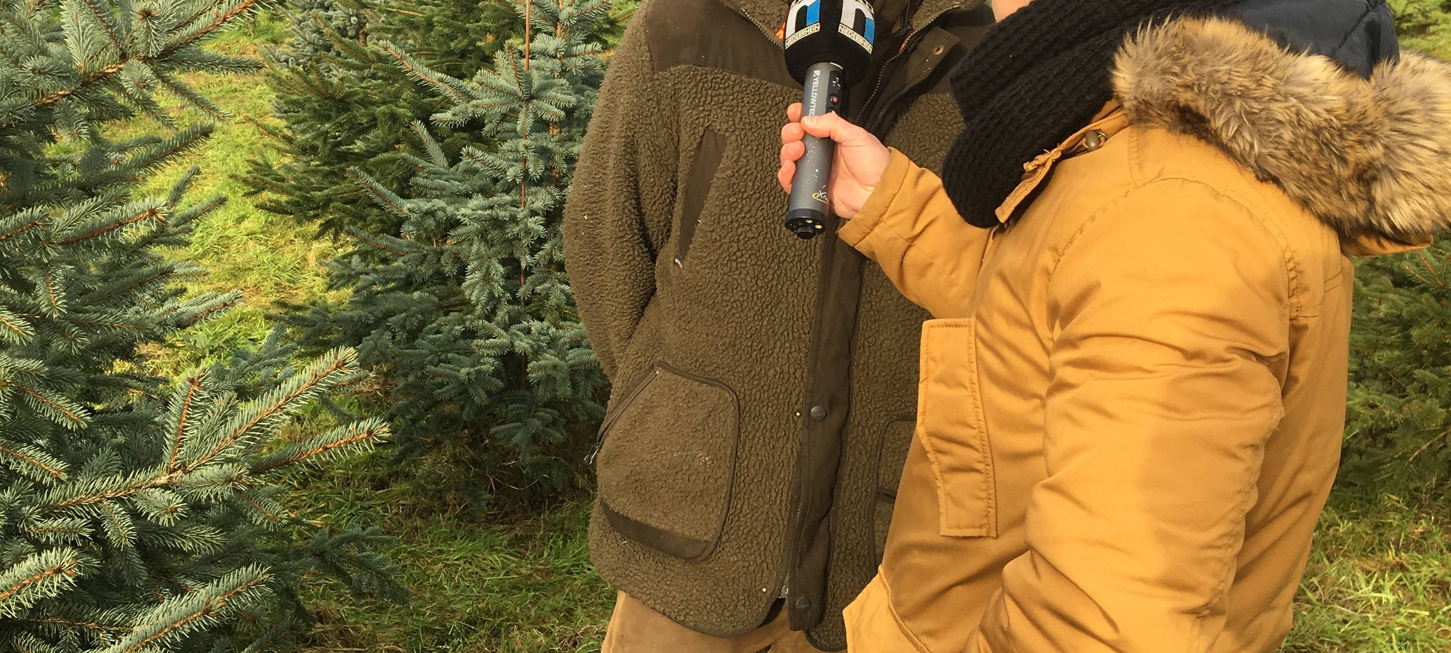 Unser Reporter mit dem Weihnachtsbaum-Fachmann
