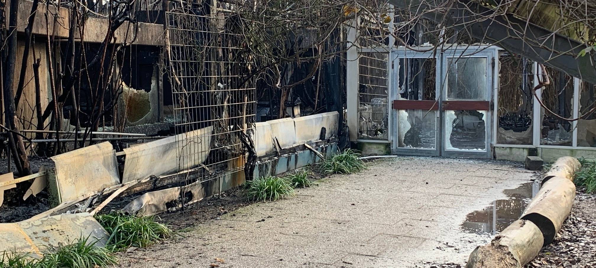 Der Brand im Krefelder Zoo