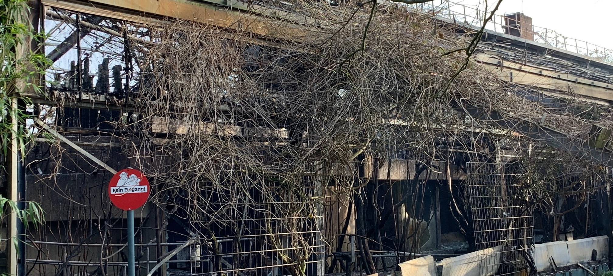 Der Brand im Krefelder Zoo