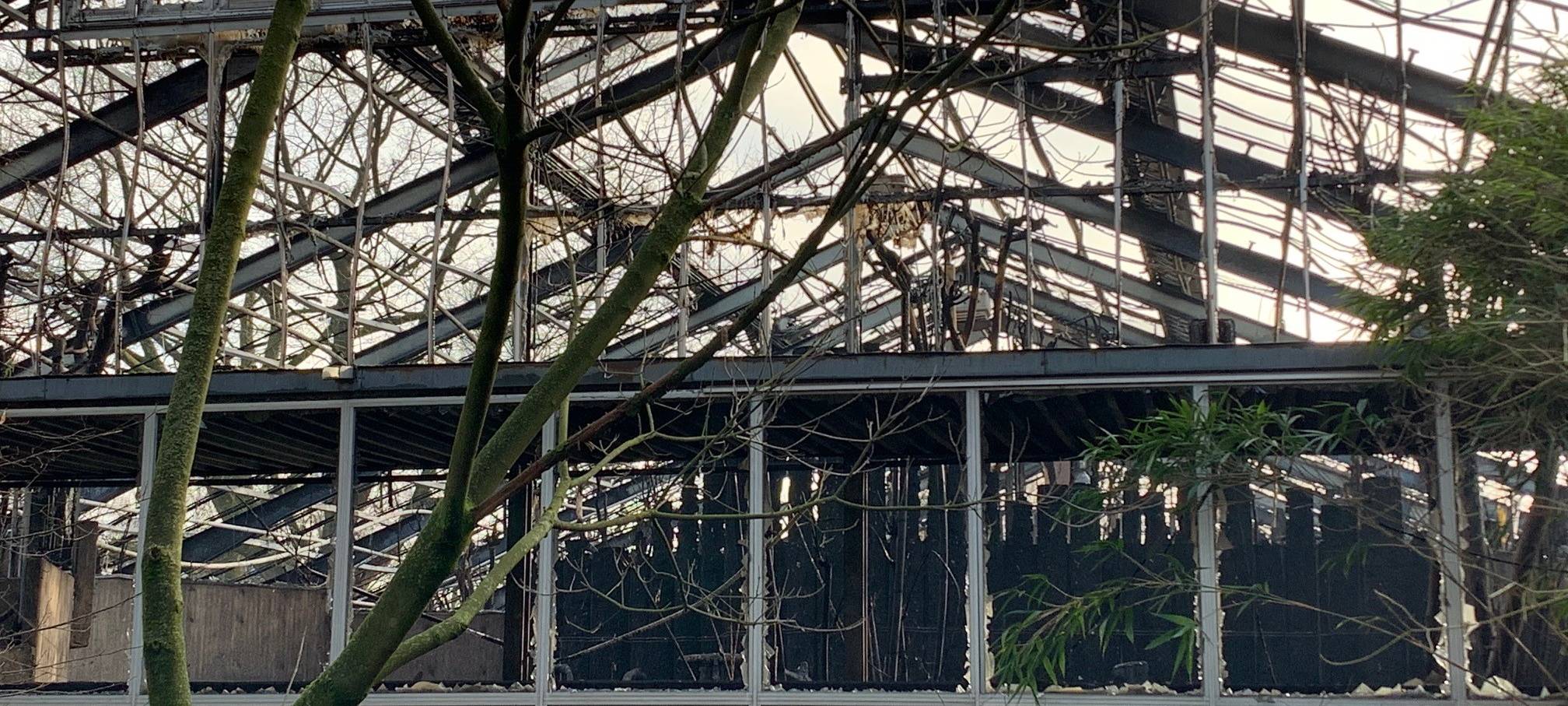Der Brand im Krefelder Zoo