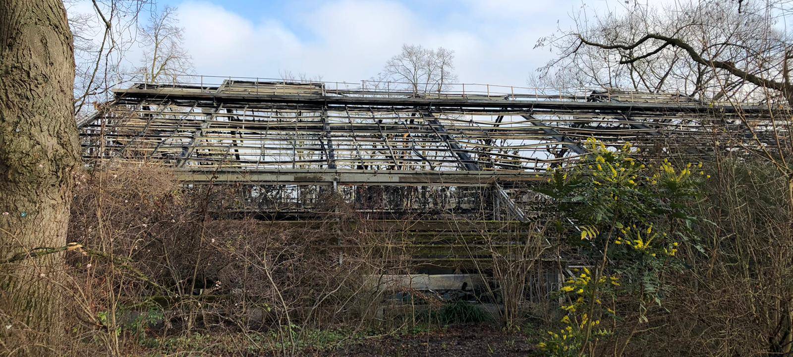 Verkauf von Himmelslaternen in NRW jetzt verboten