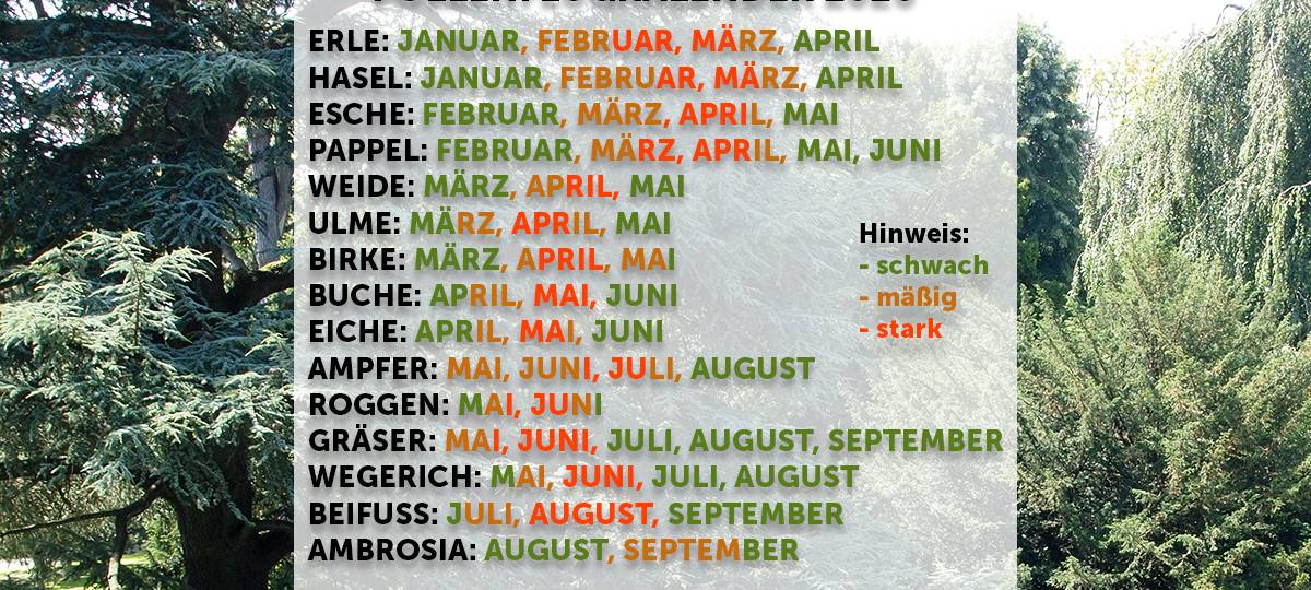 Pollenflug am Niederrhein