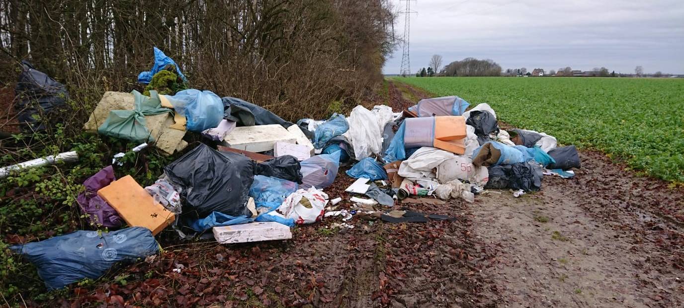 Wilder Müll im Wald entsorgt