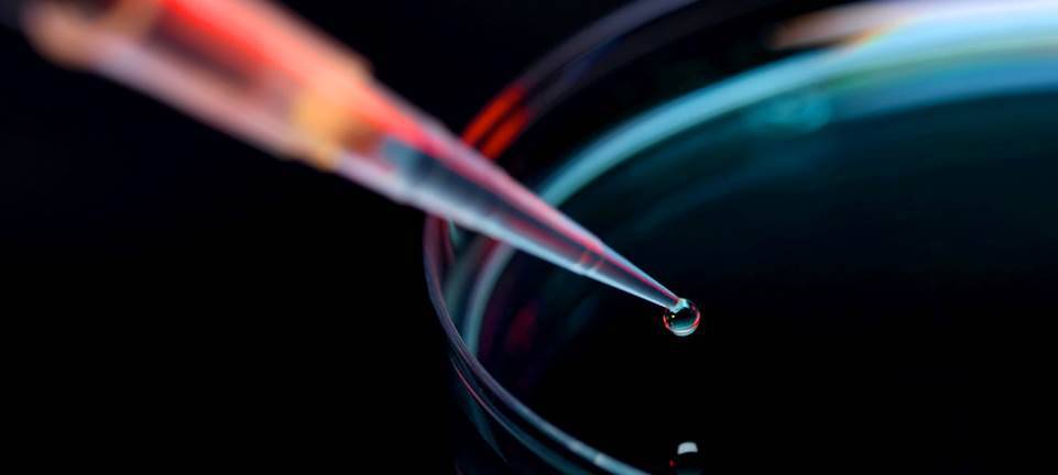 Covestro stoppt vorerst Milliardenprojekt
