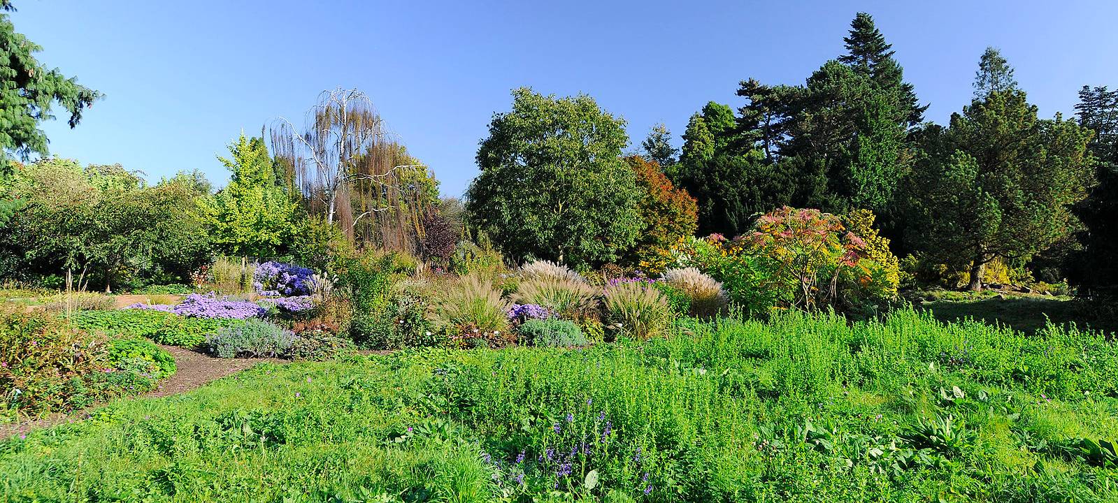 Der schönste Garten am Niederrhein
