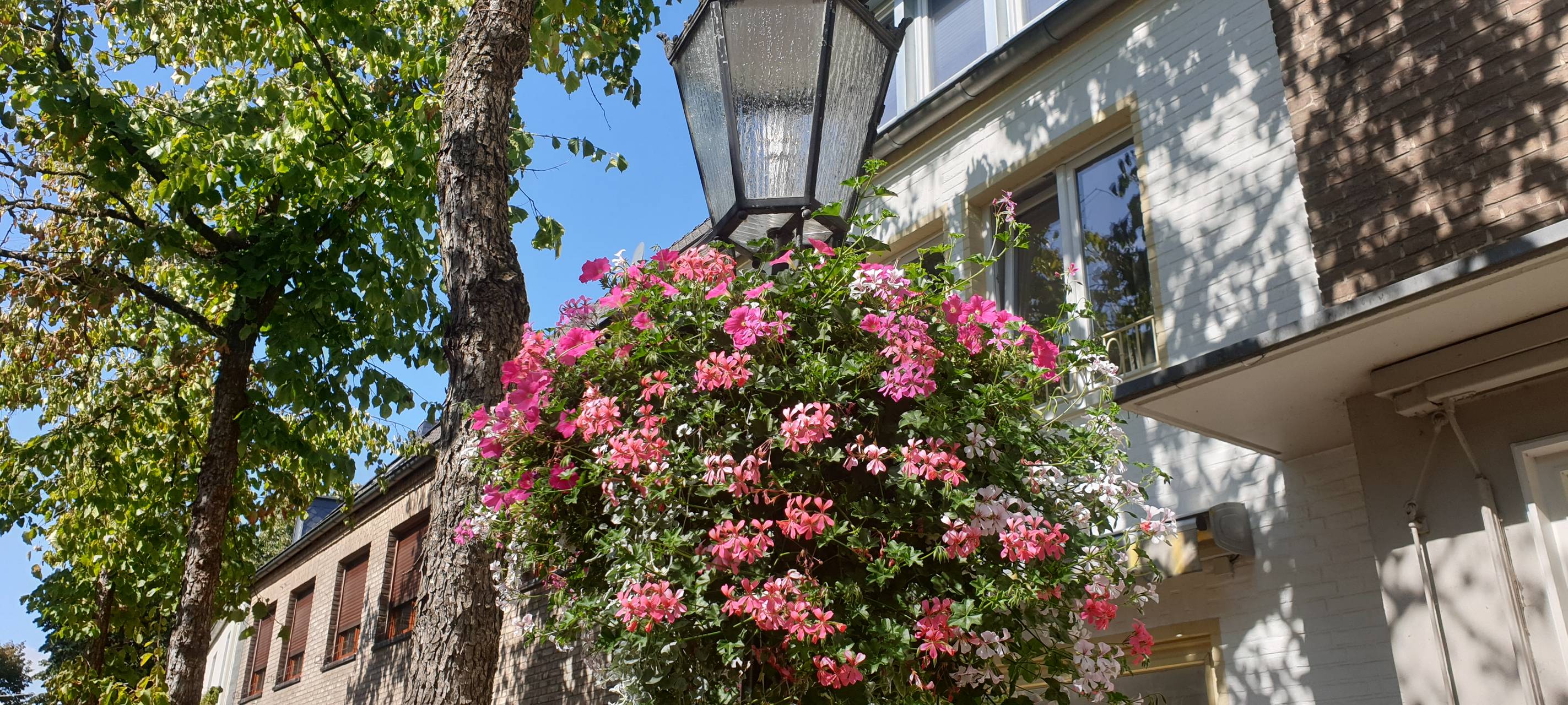 Gemeinde Grefrath ruft zu Wasserspenden auf