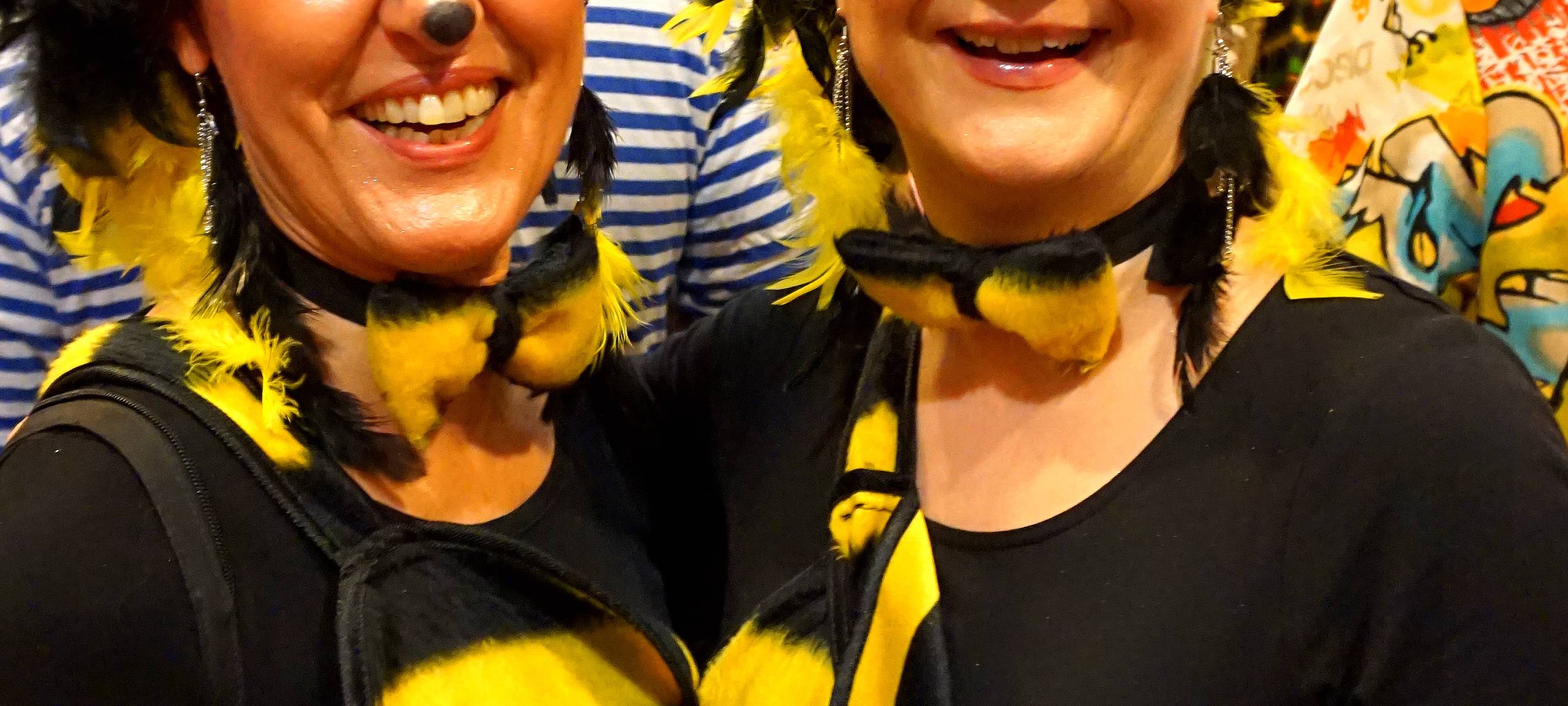 Der närrische Niederrhein 2020