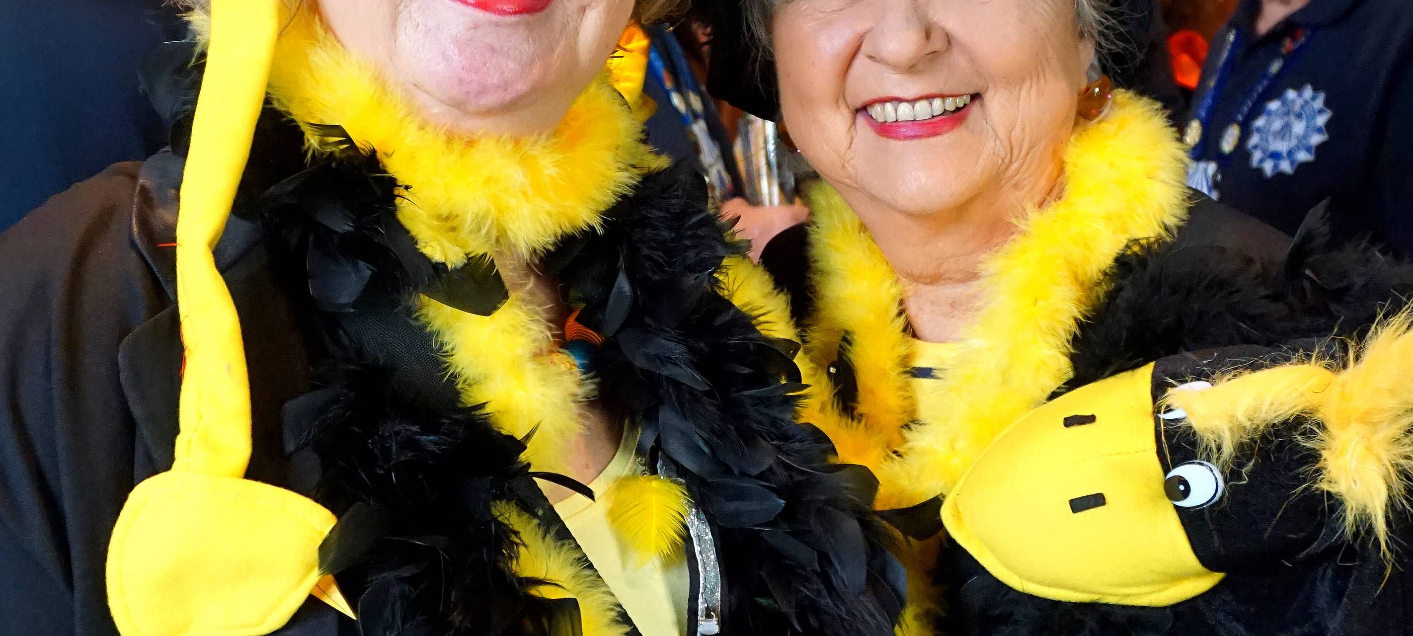 Der närrische Niederrhein 2020