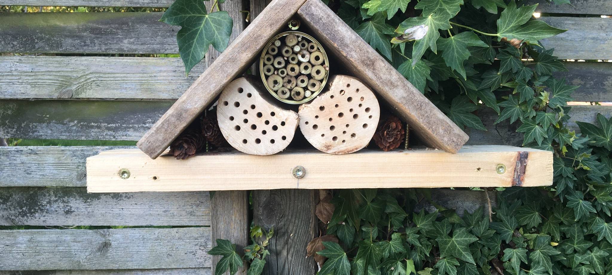 Insektenforschung in Bockum