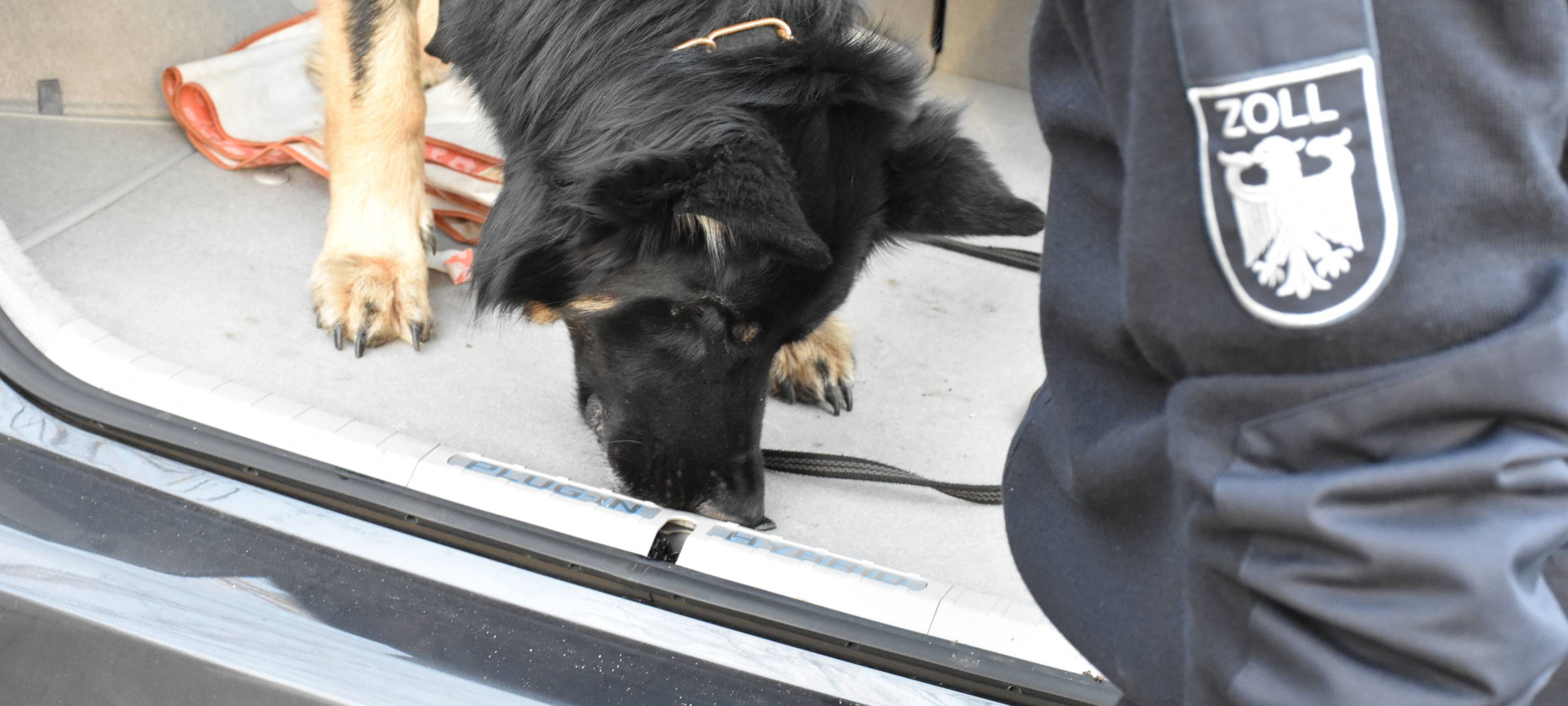 Krefelder Drogenspürhund wird fündig