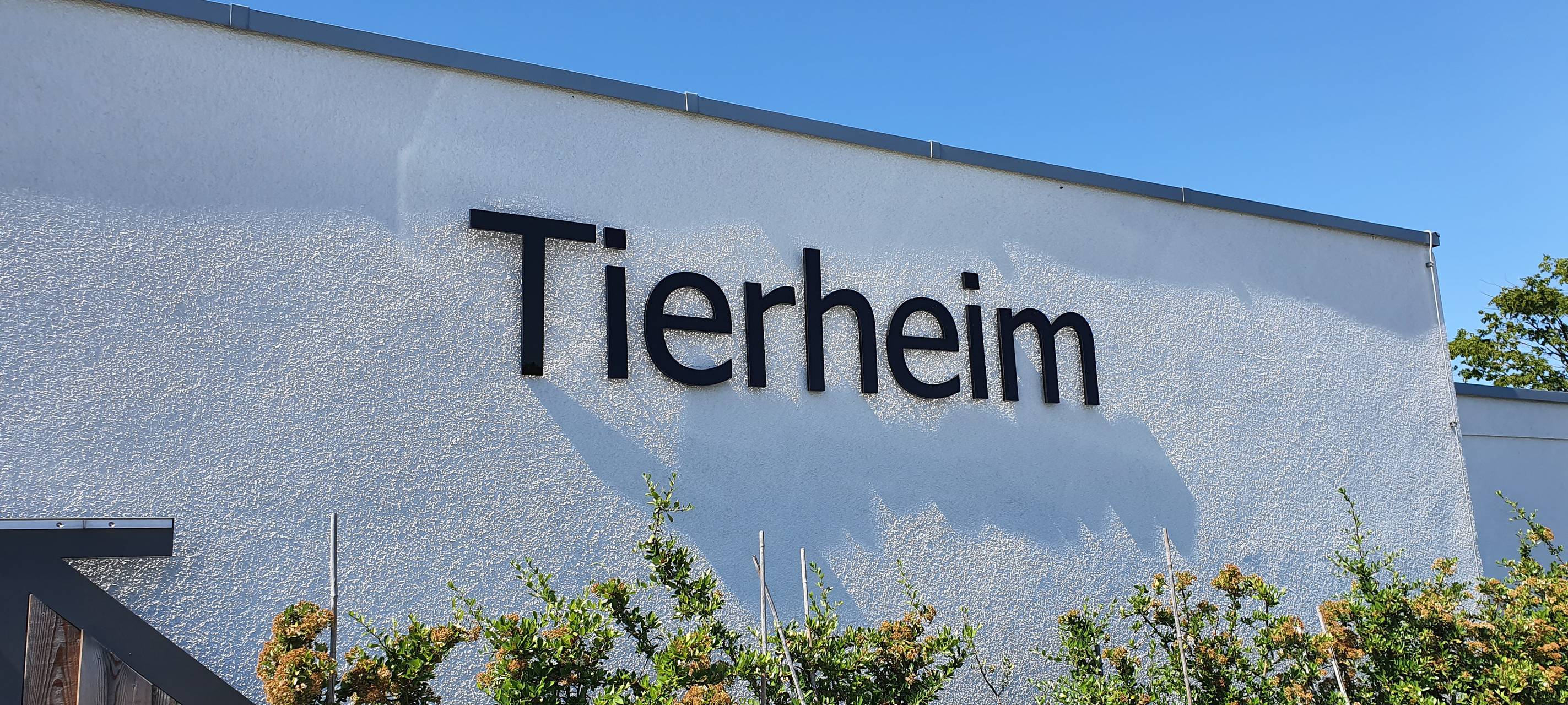 Matthias-Neelen-Tierheim öffnet wieder