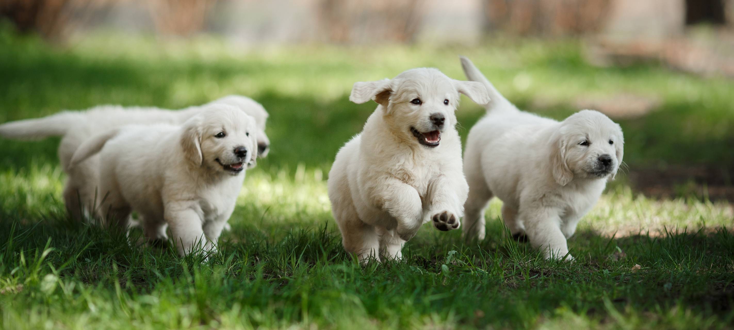 Krefeld: Rondo Food baut Standort aus