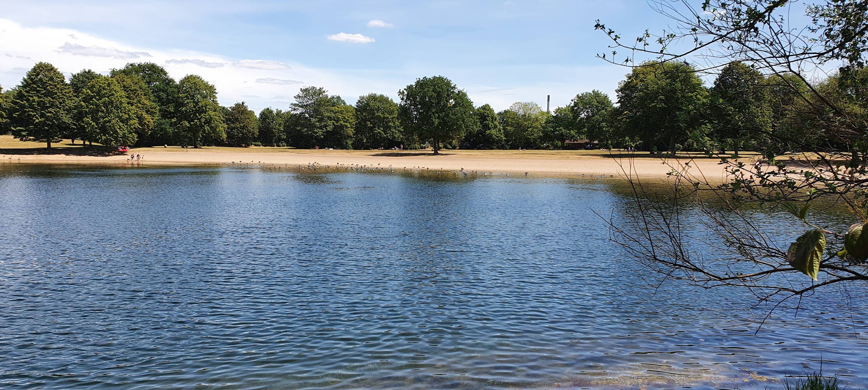 Wie geht es mit dem Elfrather See weiter?