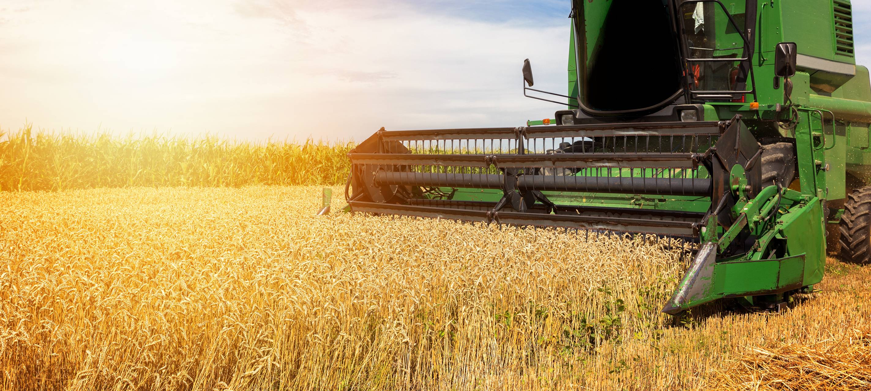 Ernte startet langsam – auch am Niederrhein