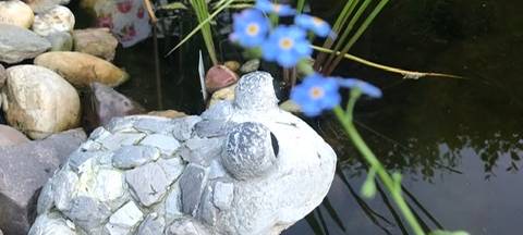 Der schönste Garten am Niederrhein