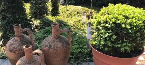 Der schönste Garten am Niederrhein