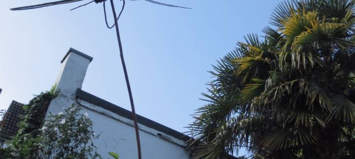 Der schönste Garten am Niederrhein