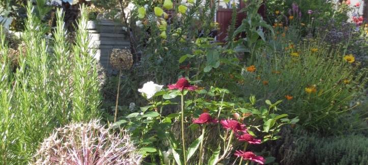 Der schönste Garten am Niederrhein